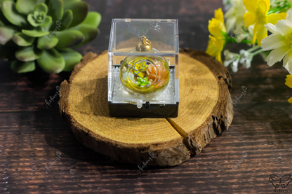 Sunshine Yellow/White/Gold Crystalerrium, Succulent Crystal Terrarium Display