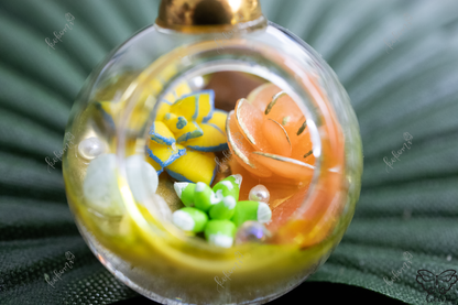 Sunshine Yellow/White/Gold Crystalerrium, Succulent Crystal Terrarium Display