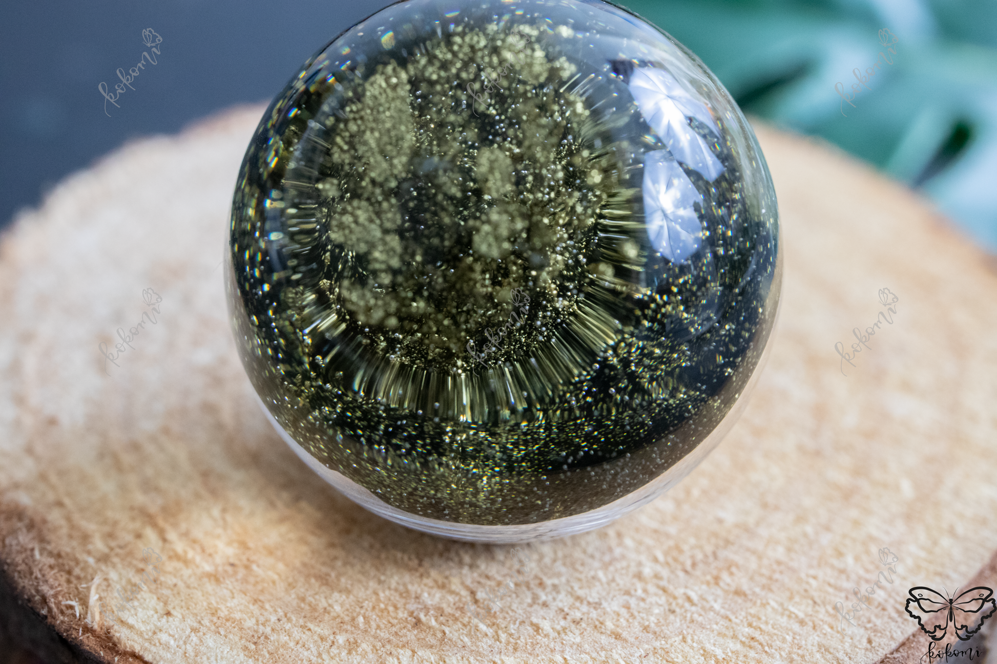 midnight succulent Midnight Black/Gold Crystalerrium, Succulent Crystal Terrarium Display – Kokomi by KAL
